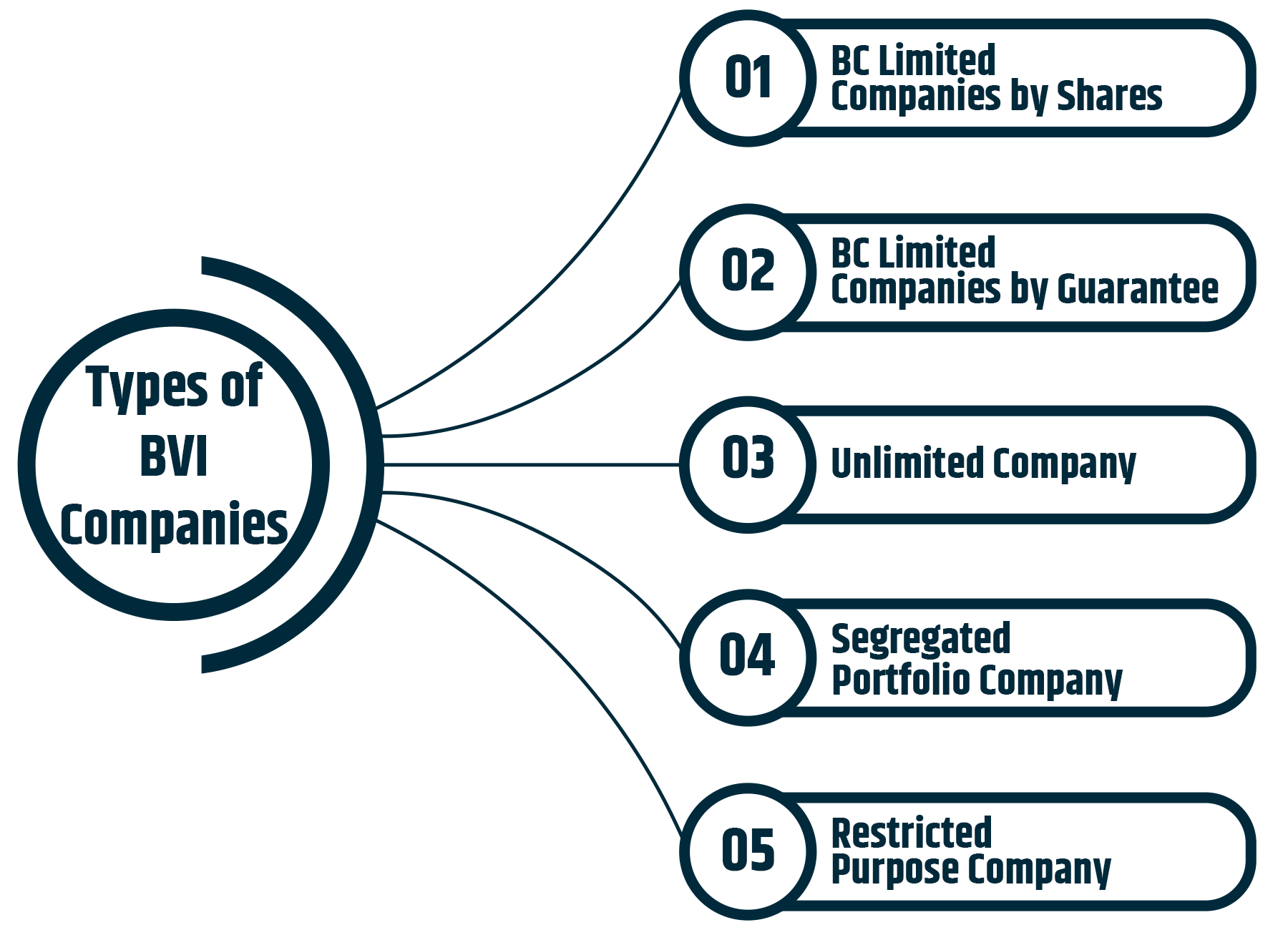 These are types of company registration in british virgin Island